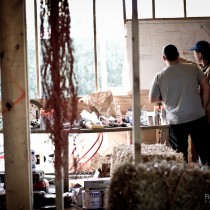 Straw Bale Workshop - Cuyler NY