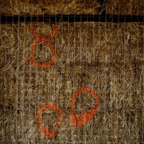 Straw Bale Workshop - Cuyler NY