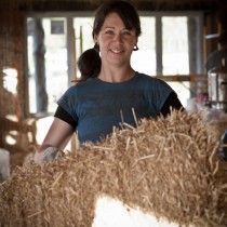 Straw Bale Workshop - Cuyler NY