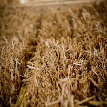 Straw Bale Workshop - Cuyler NY