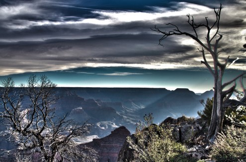 _MG_5726-Edit-1276282168-O