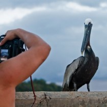 _MG_9661-1188607373-O