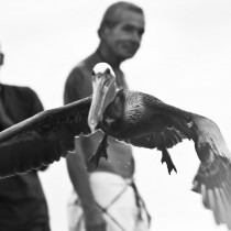 _MG_9711-1188608458-O